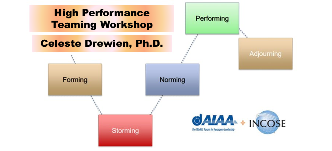 High Performance Teaming Workshop